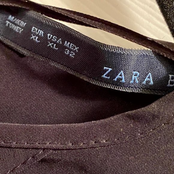 Zara Black Pleated Dress with Beige/Tan Neutral Insert - Picture 3 of 4